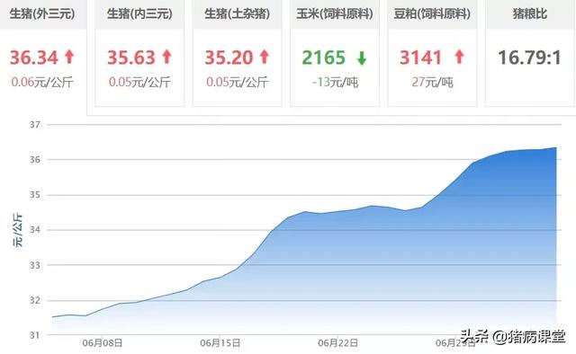 生猪价格全面上涨，平台突破上升空间打大，45元不见不散！