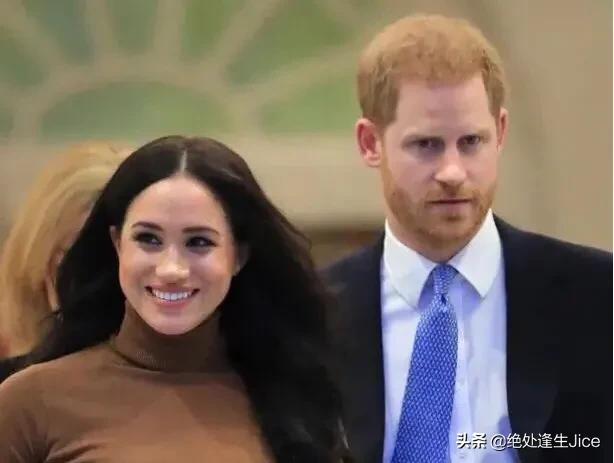 据透露，哈里和梅根的“复仇”之书，是个“巨