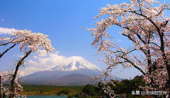地表最强房东！富士山是这个家族的私有财产，日本政府每年交租金