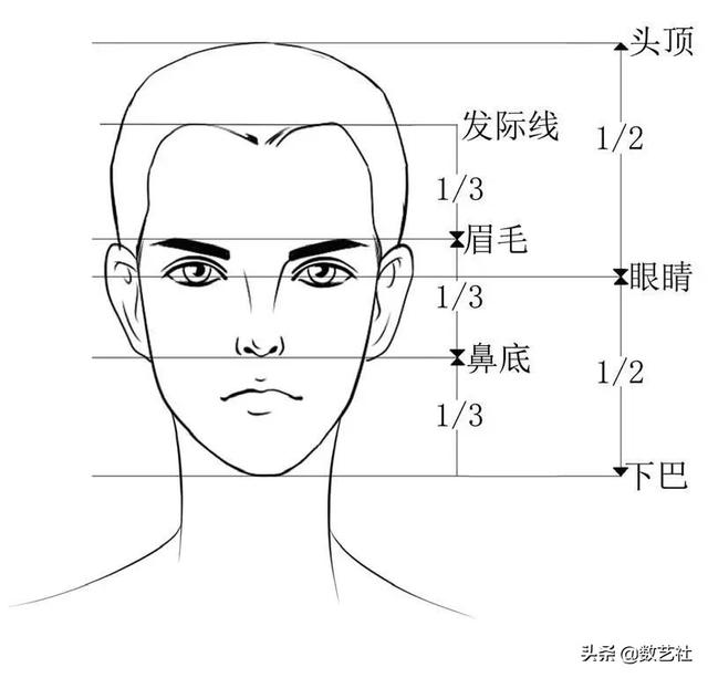 男性面部的画法