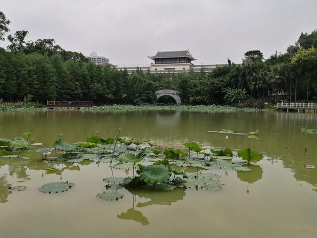 夏天来了，到南宁市里的这个天然氧吧，走花路