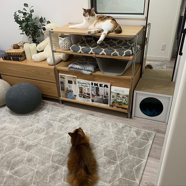 这个最没存在感的家具，小户型买了多赚一间房