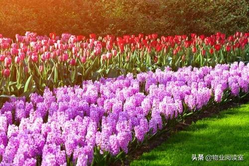 四月份如何做好绿化养护工作