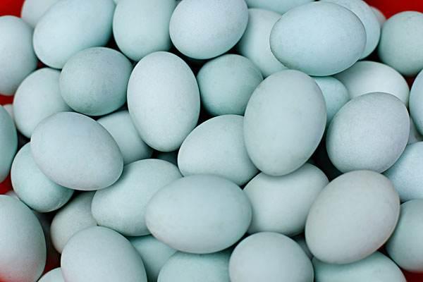 蛋鸭产蛋率下降,提高蛋鸭产蛋率,龙昌胆汁酸,龙昌杜仲叶提取物,快速恢复病后产蛋率,改善蛋壳质量
