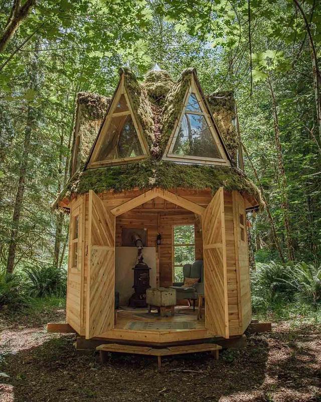 被青苔覆蓋的小木屋｜生態建筑