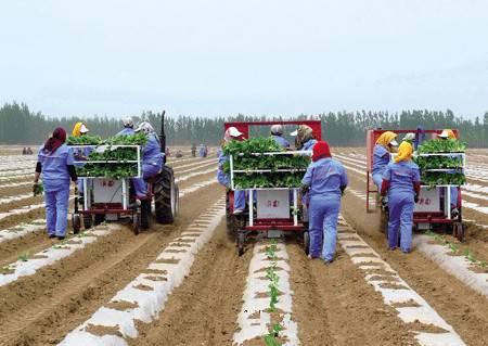 农村电商应该大力发展跨境业务；传统生鲜产业