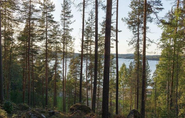 “千湖之国”芬兰：冬季严寒漫长夏季温和短暂，是圣诞老人的故乡