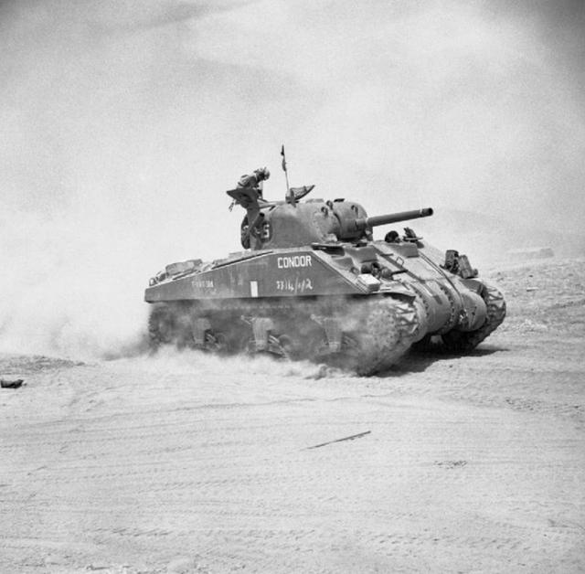 盟军在地中海的反攻，扑向轴心国的哈士奇，如