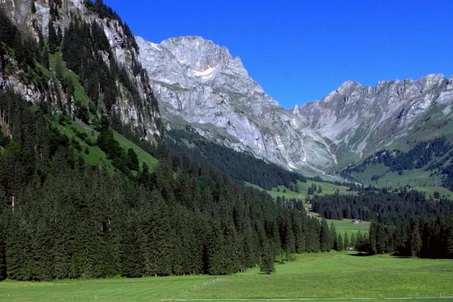 #粉色#阿尔卑斯山出现粉色冰川 专家解释令人胆颤黄山冰川该何去何从