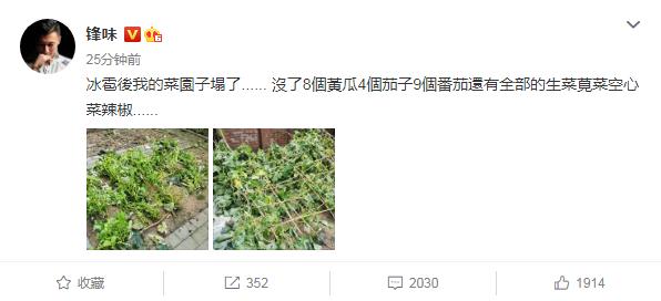 塌了|谢霆锋的菜园子塌了 意外曝光和王菲的幸福生活