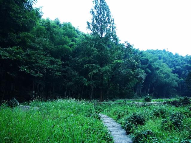 养一张富贵嘴，享一世富贵命