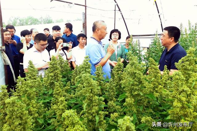 巩固发展"脱贫果" 切实做好"后半篇"