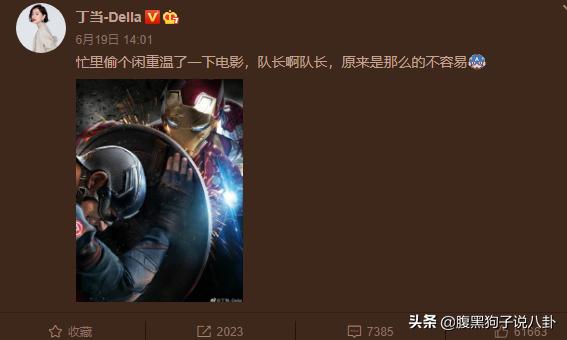 浪学来了、流浪猫鲍勃去世、唐禹哲恋上小13岁女