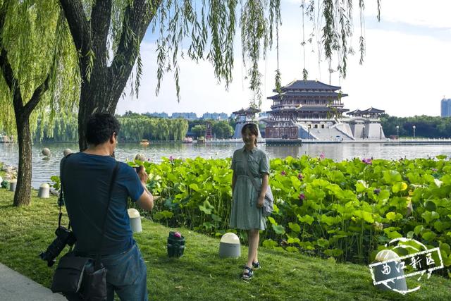 曲江卧莲台，一池荷花醉夏天