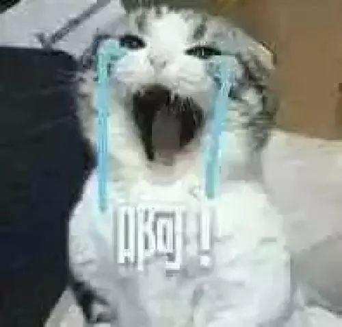 ŮӵϴupN߼tһļI