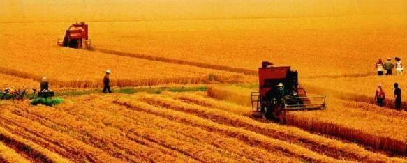 中东最安全的国家，不产石油，但出产的这种东