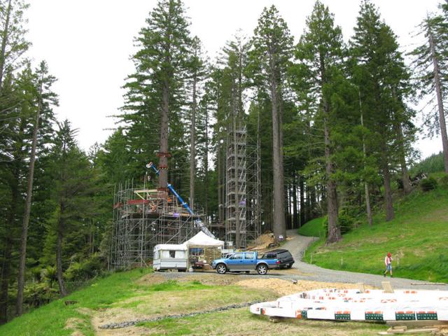 新西蘭黃色樹上餐廳