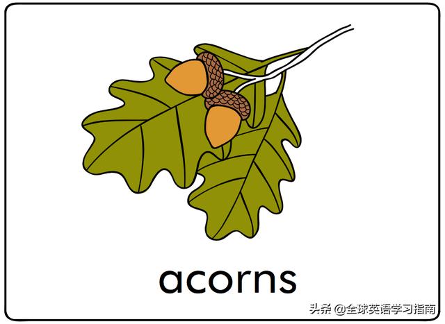 图片[14]-幼儿启蒙英语单词闪卡 － 字母Aa的15个相关单词-笑傲英语网