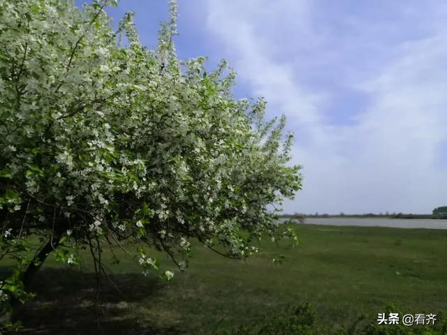 齐齐哈尔市梅里斯区：这里美丽初现，还需再加把力