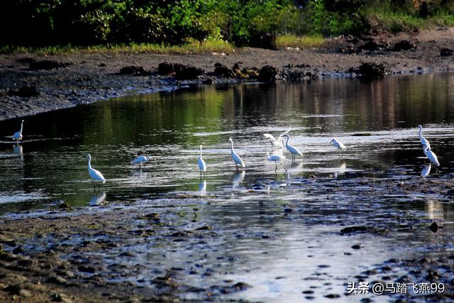 没有工业的“处女地”，“驴友”与摄影发烧友竞相追逐的热门岛屿