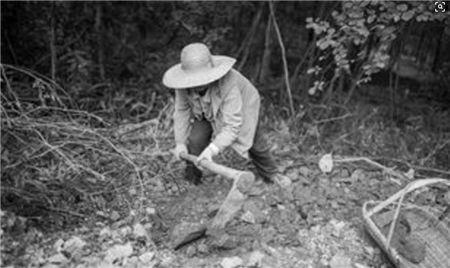 山西农民除草发现一箱价值2000万的黄金，上交后