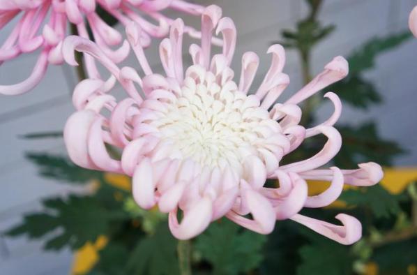 国际博物馆日来了！江苏文博饕餮盛宴等你来约