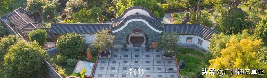 园子里的中医药︱三重门