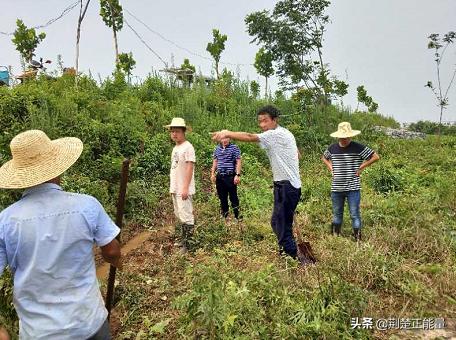 湖北武穴花桥镇：让党旗在丰收大港高高飘扬