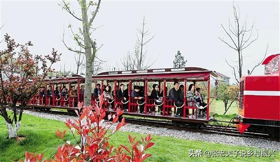 "村集体+公司+家庭农场"为乡村造血模式—浙江安吉鲁家村案例评析