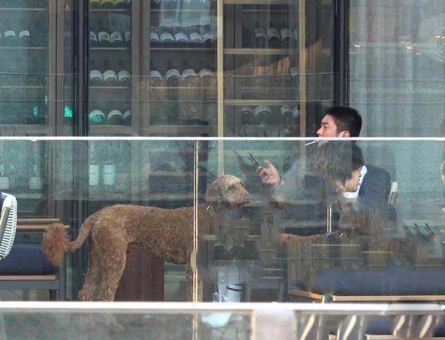 杜江霍思燕酒店度假“约会”，身边又带小女孩，关系惹猜疑