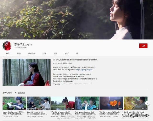 越南博主抄袭李子柒，美拍，抖音和Youtube点击近