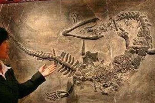 南水北调挖出“巨龙”，距今已超6000年，龙真的只是传说吗？