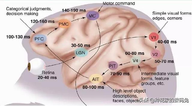深度学习技术详解