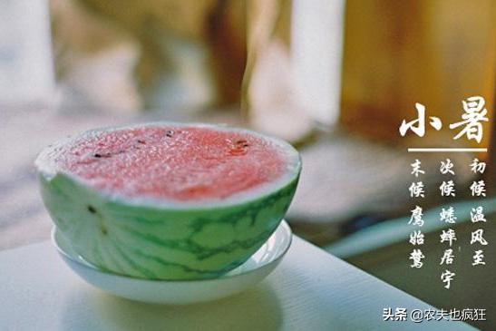 「关于」今日小暑 关于小暑节气的农谚有哪些