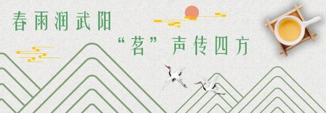 “武阳春雨”飘香“国际茶日”武义县长喊你来