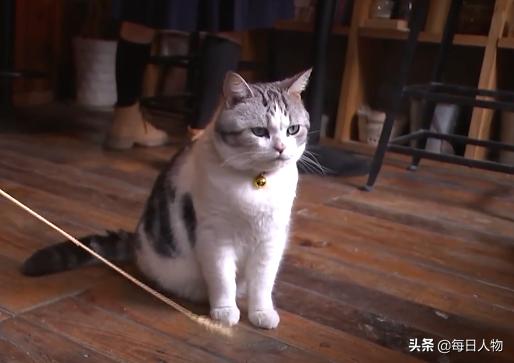 飞舞的红窗帘、出狱的窃·格瓦拉，4月我们关注