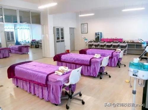 云南医药健康职业学院的康复医学系都有哪些专业？