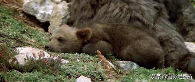 ����9.1�֣���ʵ�¼��ı࣬�ⲿ���ص�Ӱ���ҿ�һ�ο�һ��