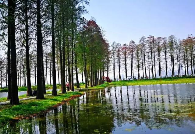 武汉46个好玩景点合集，原来有这么多都免费