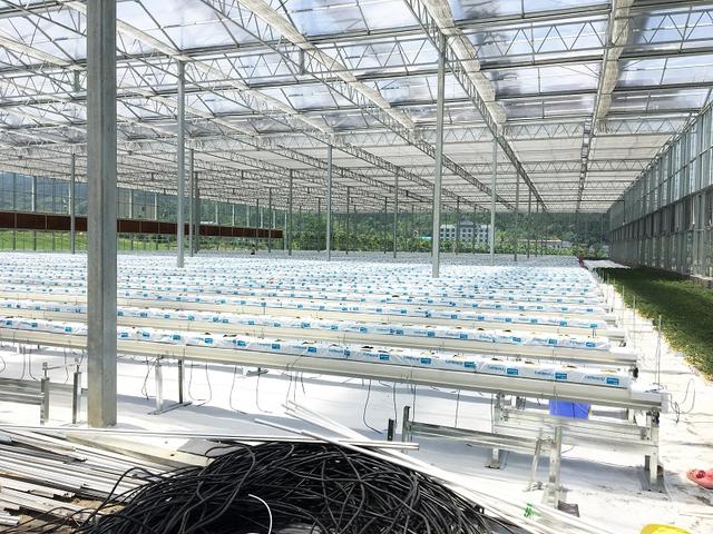 智能温室种植新装备新型水肥一体机性能及使用简介