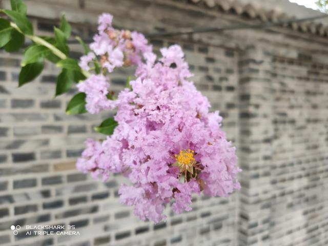 黑鲨游戏手机3S深度评测 腾讯手游加持让上分更轻松