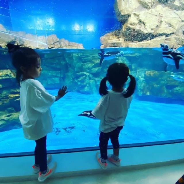 修杰楷晒波妞撒娇照，见姐姐与妈妈亲吻，双手紧搂贾静雯争宠萌翻