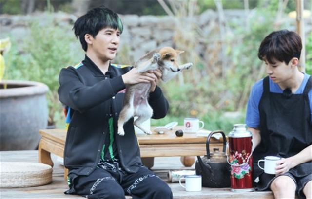 花儿乐队宣布重组，把大张伟换掉，活该你们火