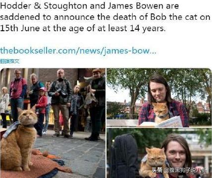 浪学来了、流浪猫鲍勃去世、唐禹哲恋上小13岁女友｜一周瓜总结