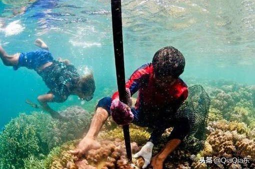 中國民族族源的說法