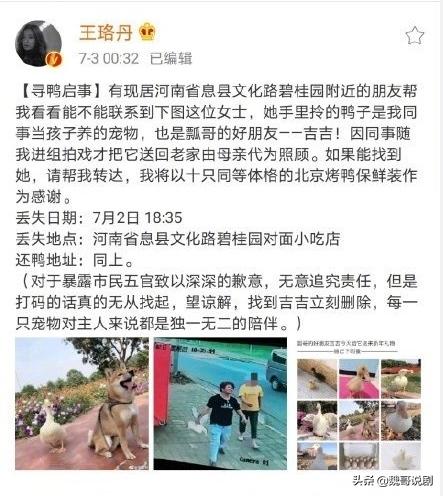 王珞丹发寻鸭启事始末，伤感人已找到鸭已不再