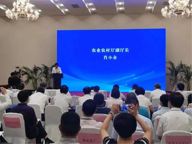 中国食品领域分析专家朱丹蓬谈“川茶川酒融合发展”观点