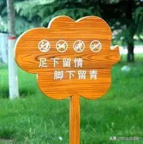 这份全年绿化养护管理方案，物业人都在收藏！