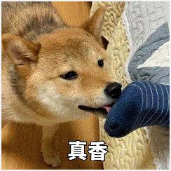 浦发终免年费白金卡，权益满满的入门好卡