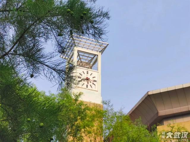 武汉科技大学，神一样的大学